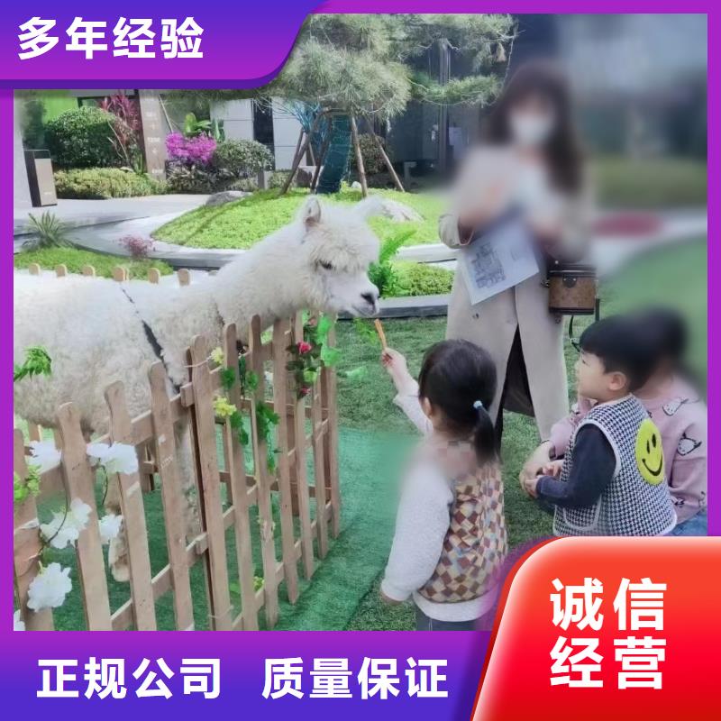 马戏团/羊驼水族海洋展2025公司