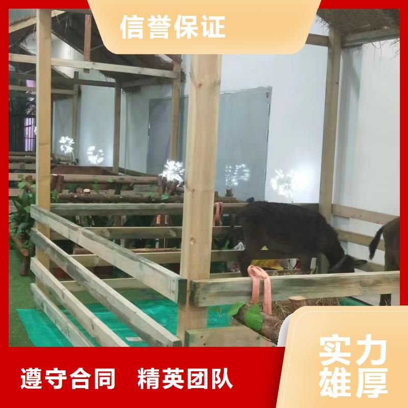 马戏团/羊驼海豚表演信誉良好