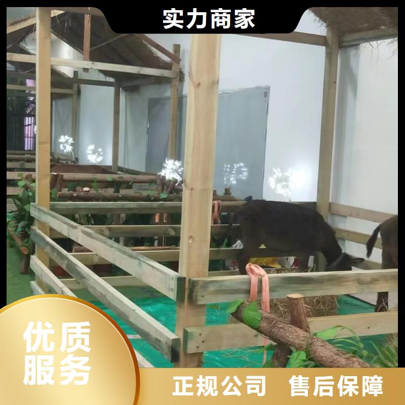 马戏团/羊驼海豚表演诚信