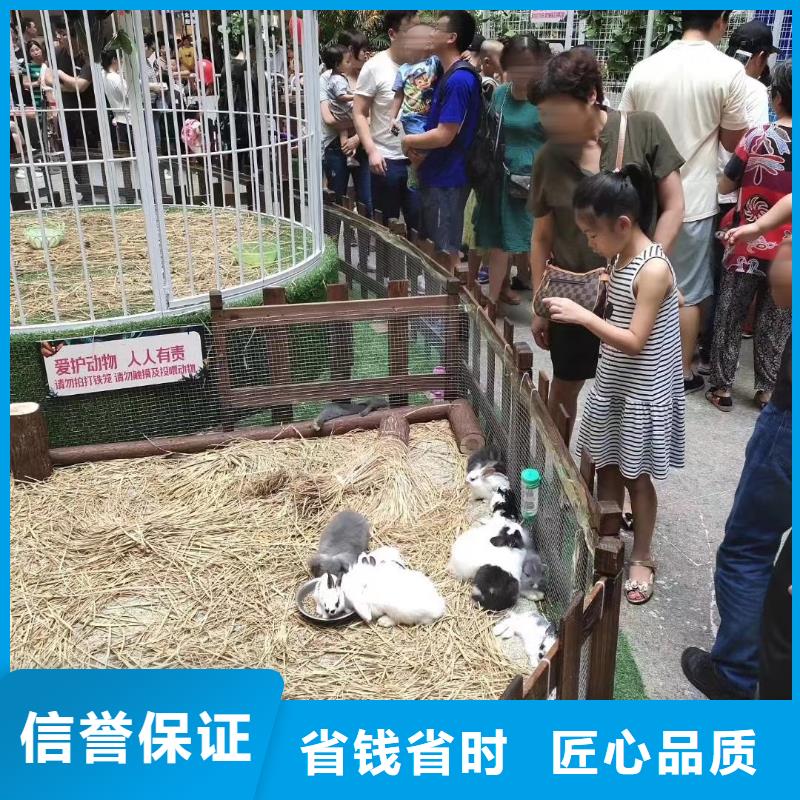 马戏团/羊驼海洋展租赁高性价比