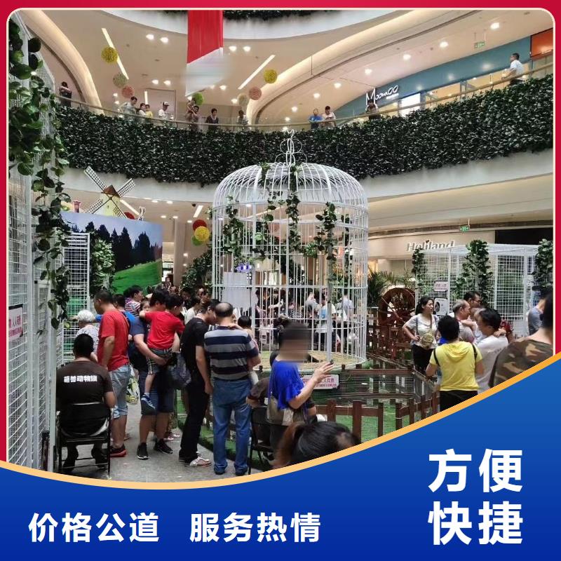 马戏团/羊驼动物表演租赁品质服务