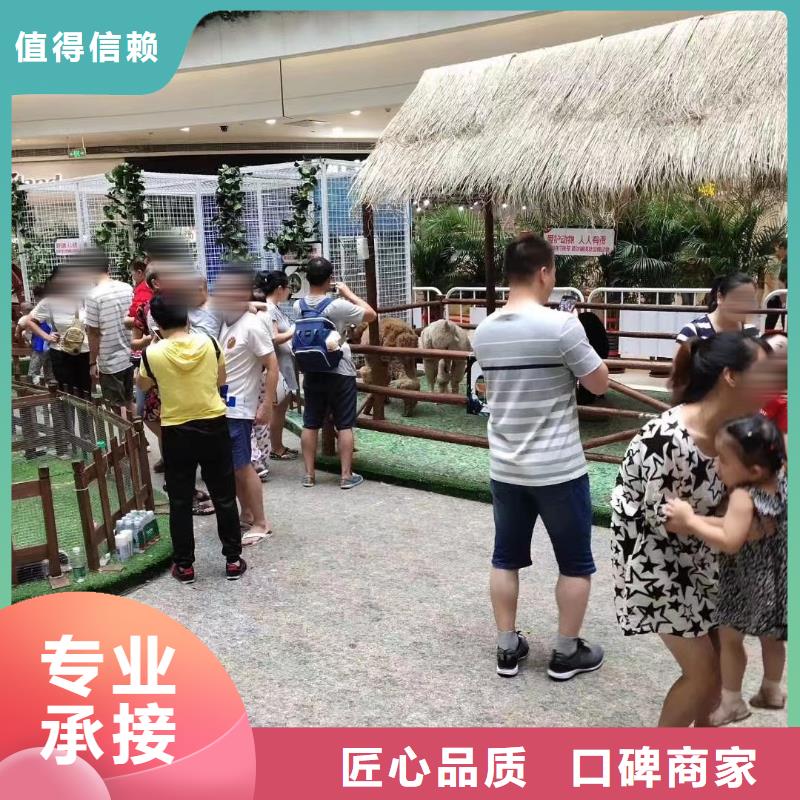 马戏团/羊驼美人鱼表演遵守合同