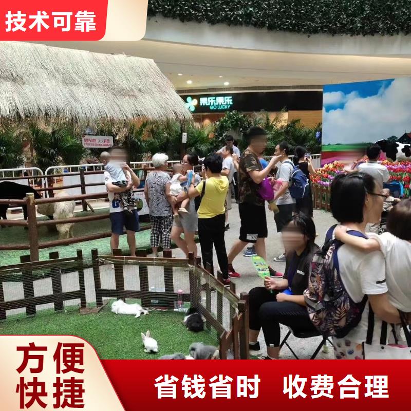 马戏团/羊驼_羊驼出租高性价比