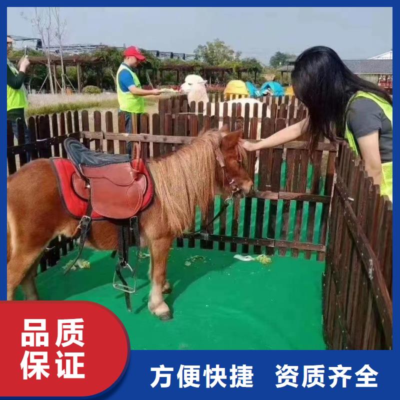马戏团/羊驼美人鱼表演从业经验丰富