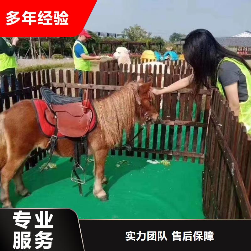 马戏团/羊驼美人鱼表演出租遵守合同