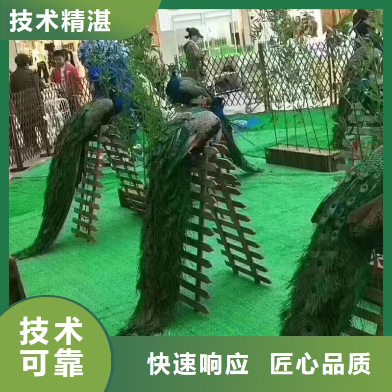 马戏团/羊驼_【美人鱼表演】先进的技术