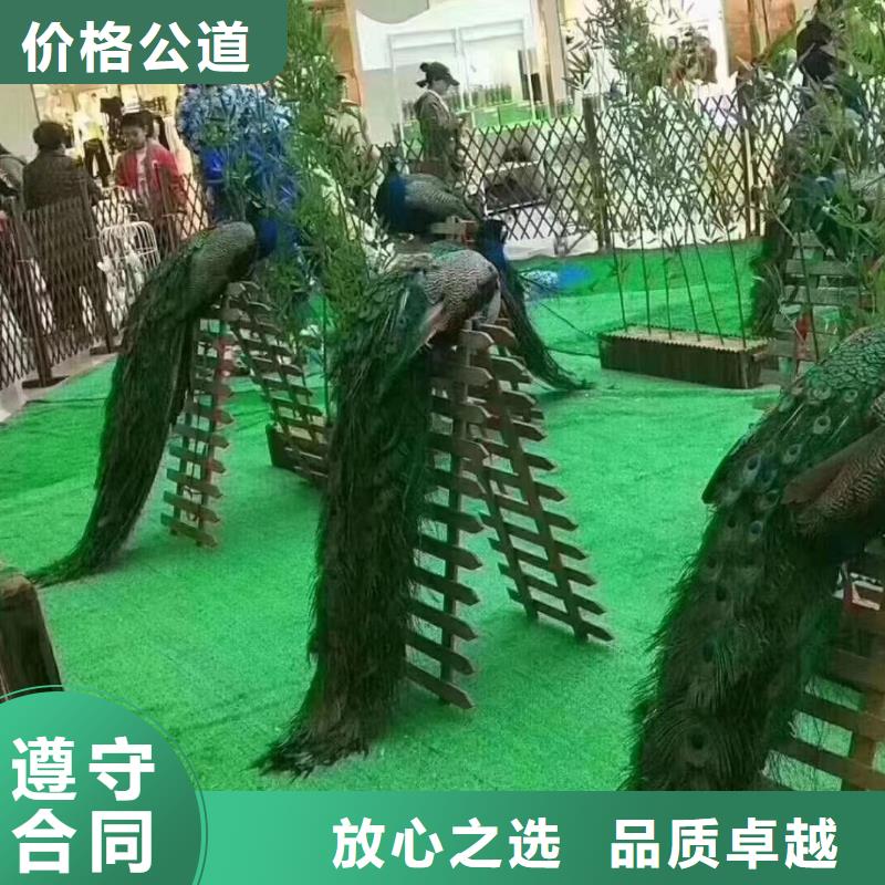 马戏团/羊驼驯兽表演实力团队