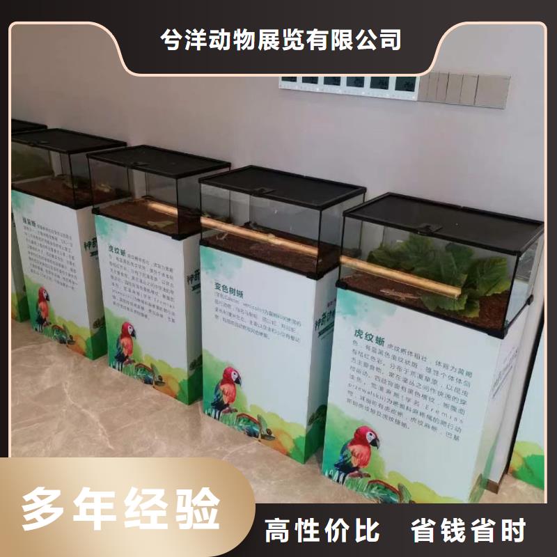 马戏团/羊驼【杂耍演出】优质服务