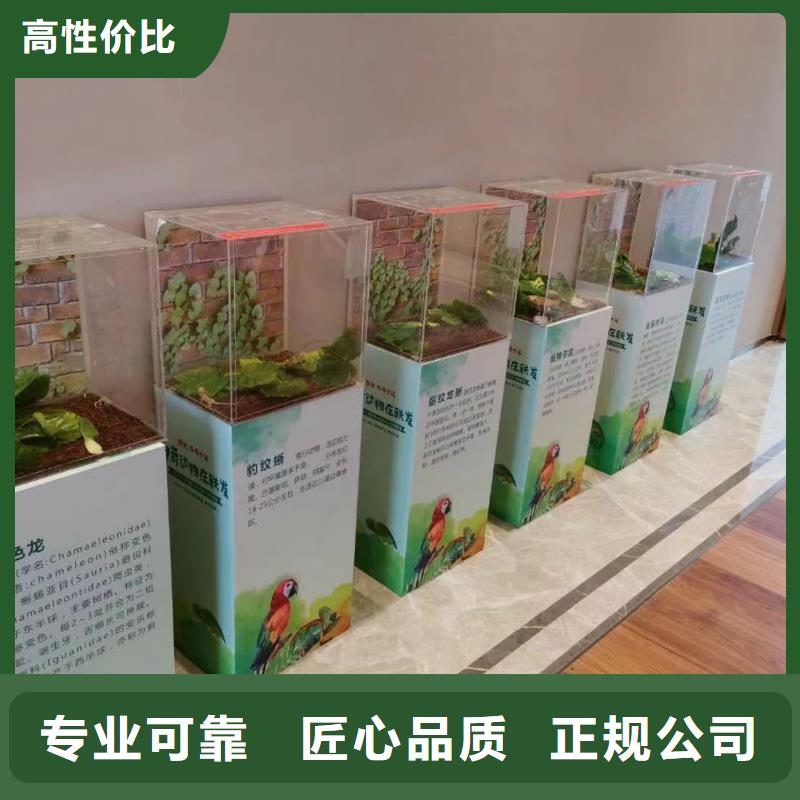 马戏团/羊驼出租表演羊驼技术精湛