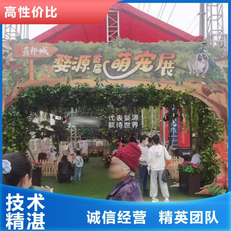 【马戏团/羊驼】动物表演出租多家服务案例