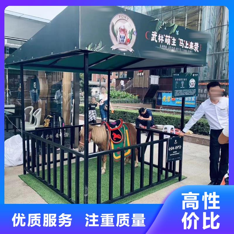 马戏团/羊驼驯兽表演实力团队