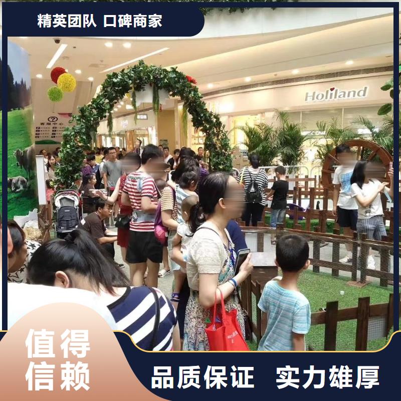 【马戏团/羊驼】租赁美人鱼表演免费咨询