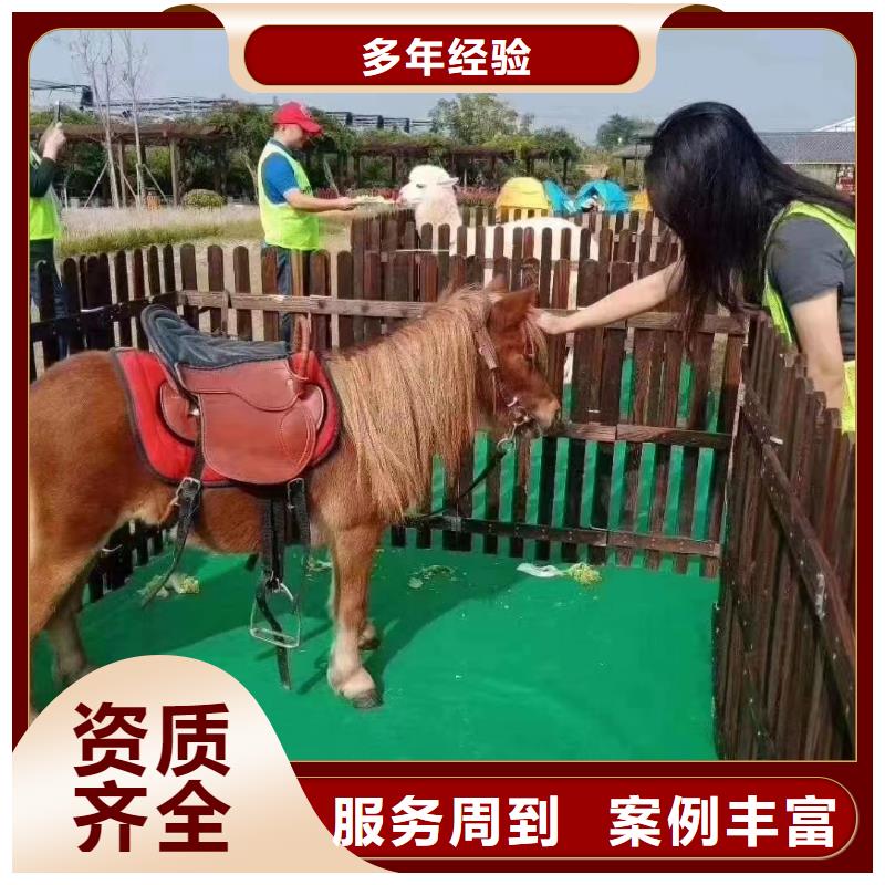 马戏团/羊驼租赁美人鱼表演遵守合同