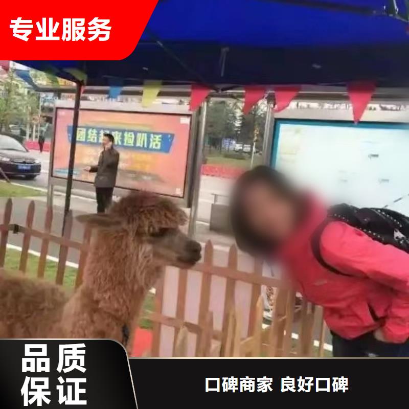 马戏团/羊驼企鹅租赁值得信赖