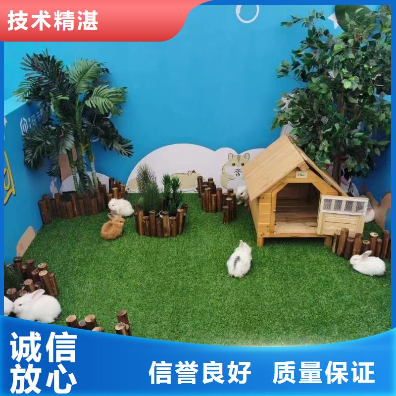 马戏团/羊驼美人鱼表演信誉保证