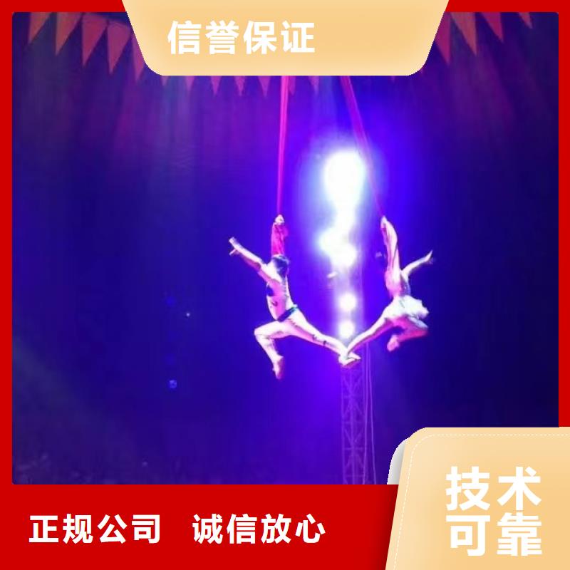 马戏团/羊驼【萌宠动物展出租】经验丰富