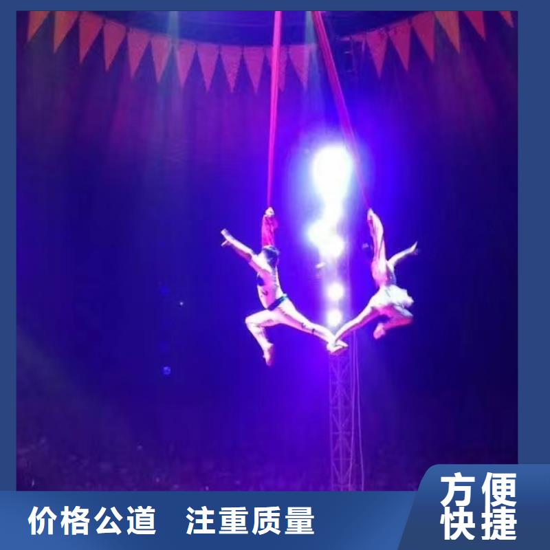 马戏团/羊驼_动物表演租赁好评度高