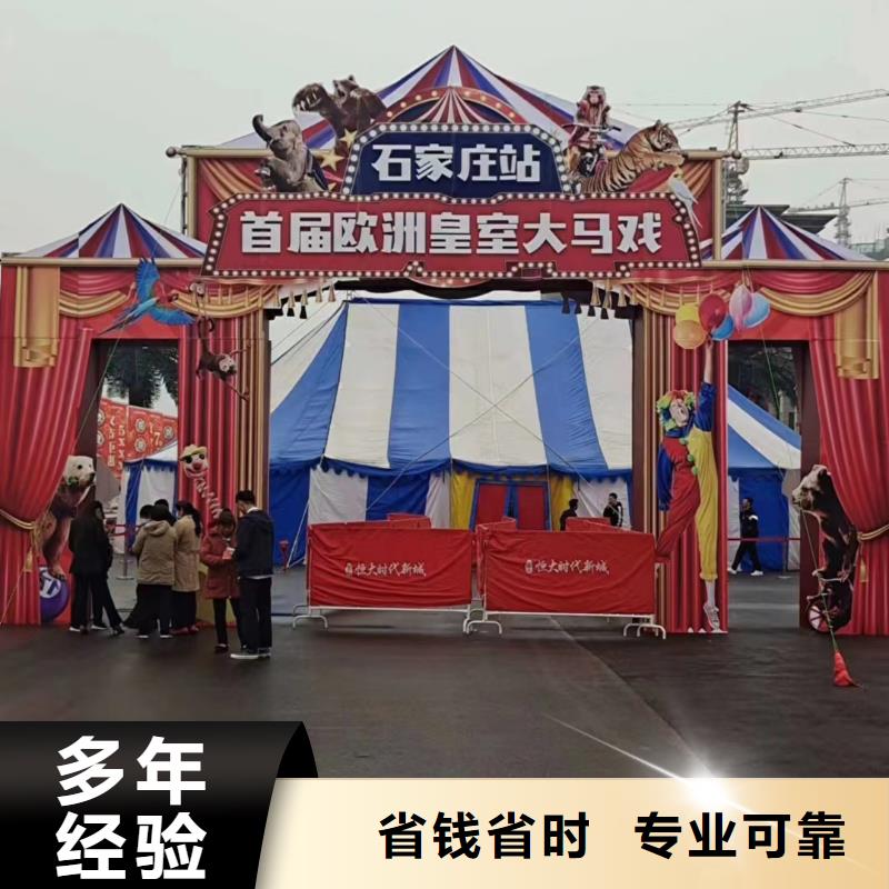 马戏团/羊驼鹦鹉表演团队