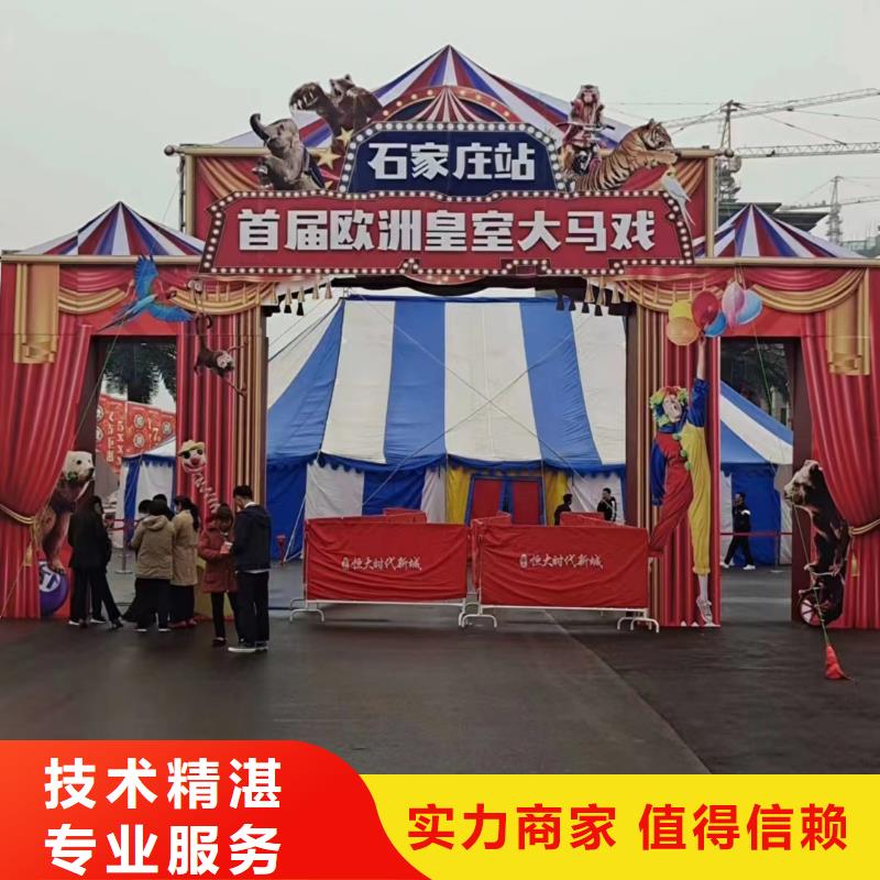 马戏团/羊驼_羊驼出租高性价比