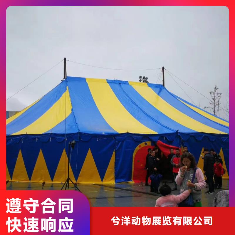 马戏团/羊驼美人鱼表演信誉保证