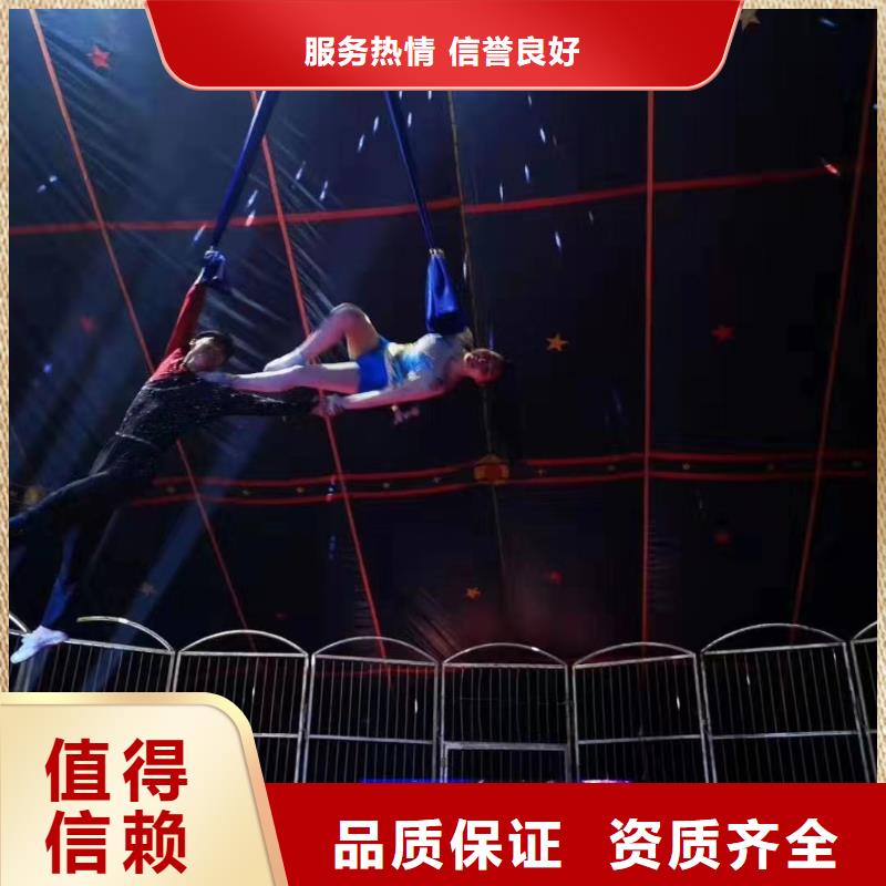 马戏团/羊驼-马戏团表演专业承接