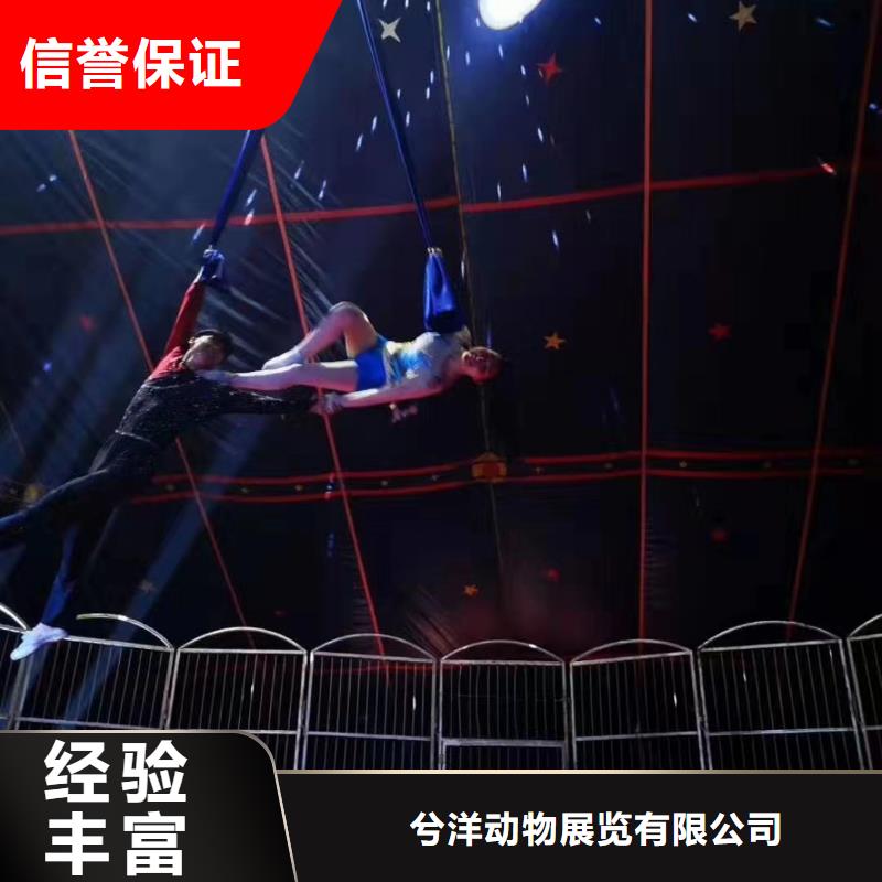 马戏团/羊驼美人鱼表演从业经验丰富
