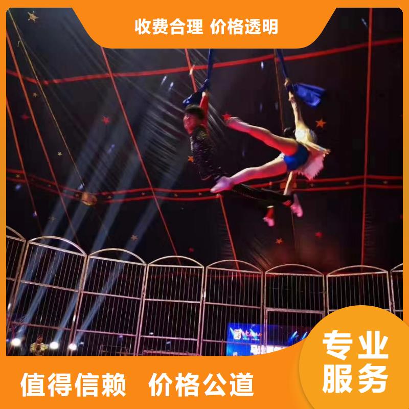 马戏团/羊驼_羊驼出租高性价比