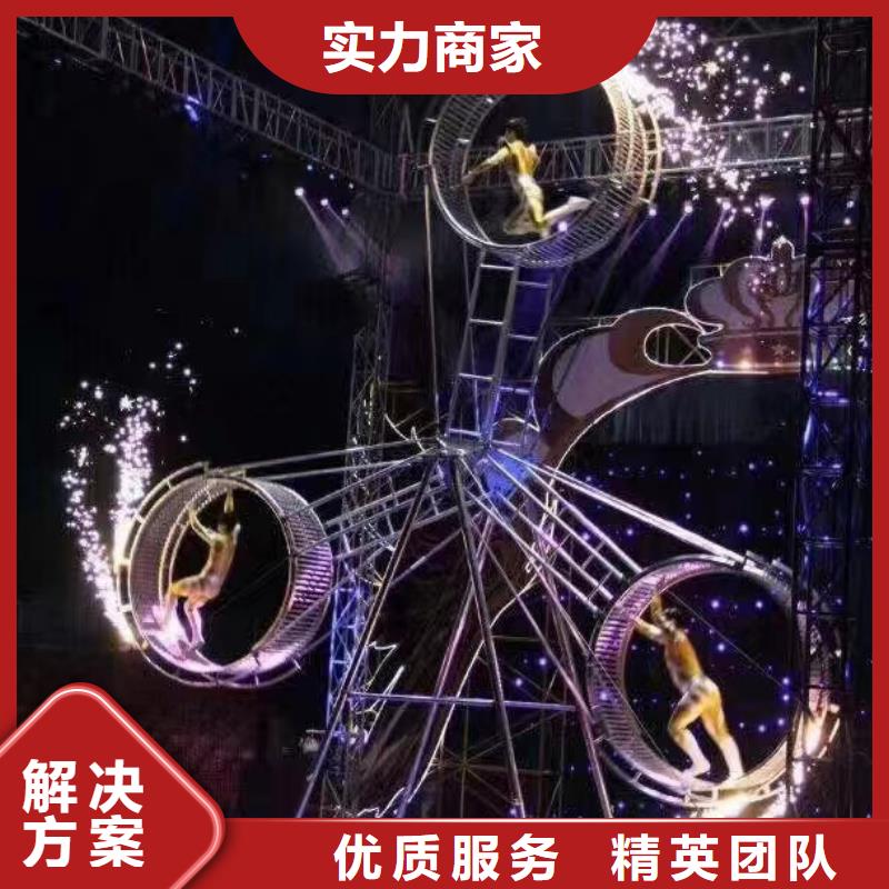 马戏团/羊驼【杂耍演出】优质服务