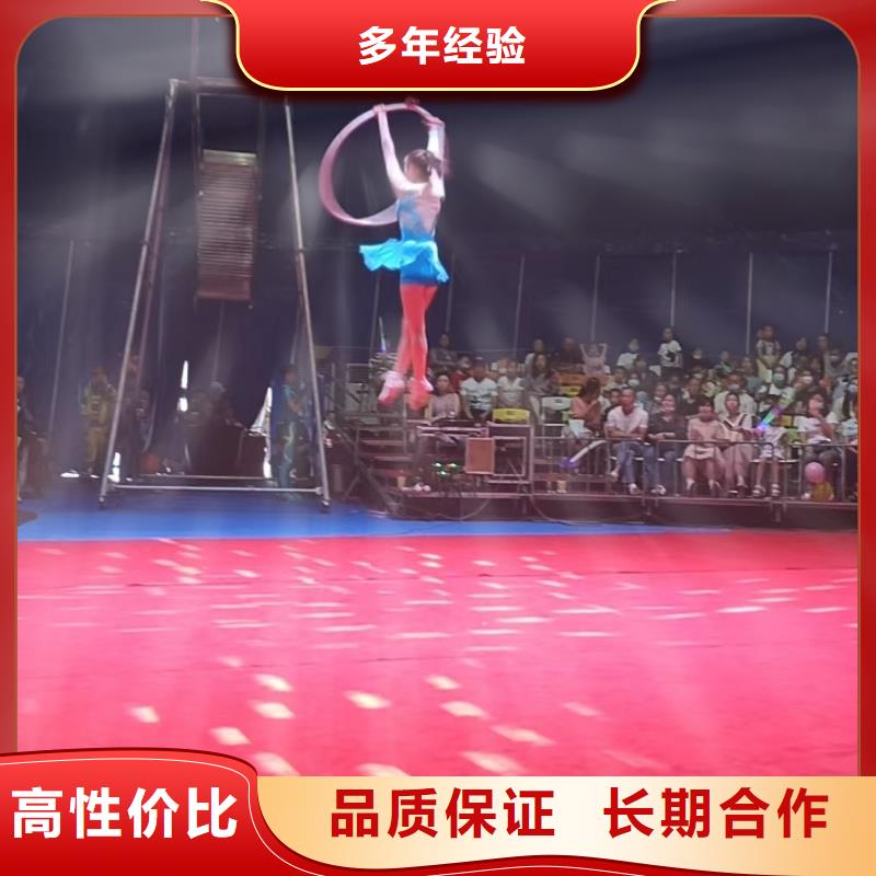 马戏团/羊驼环球飞车表演出租明码标价
