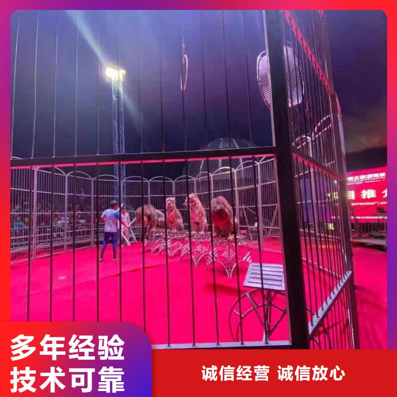 马戏团/羊驼驯兽表演实力团队