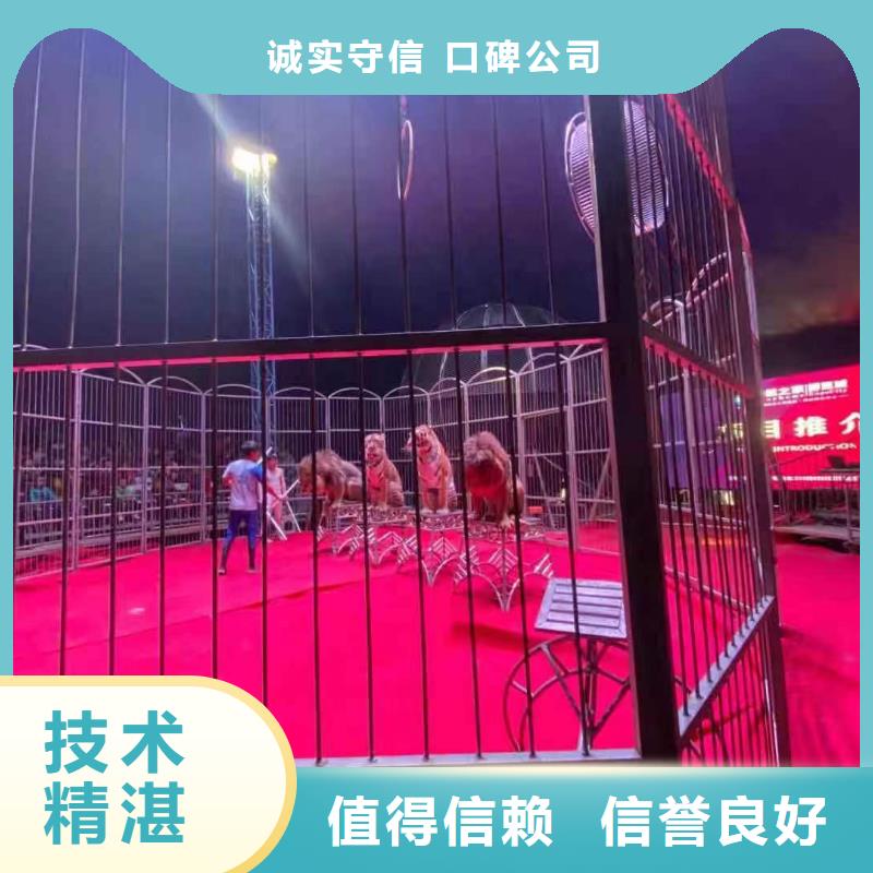 马戏团/羊驼鹦鹉表演租赁专业品质