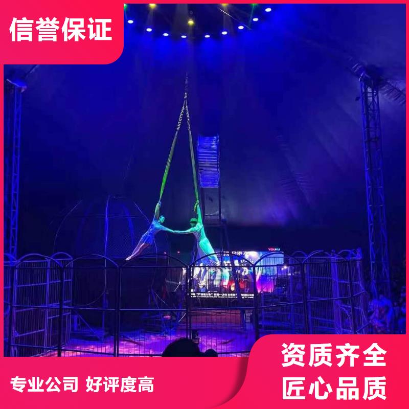 马戏团/羊驼动物表演租赁欢迎询价