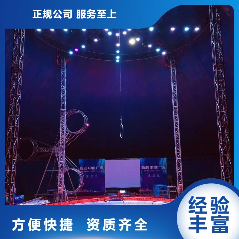 马戏团/羊驼羊驼出租良好口碑