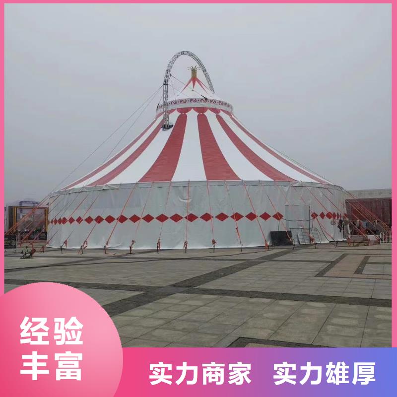 【马戏团/羊驼】羊驼出租多年行业经验