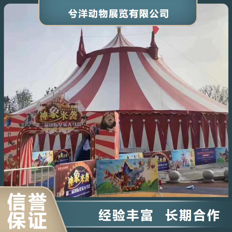 马戏团/羊驼美人鱼表演遵守合同