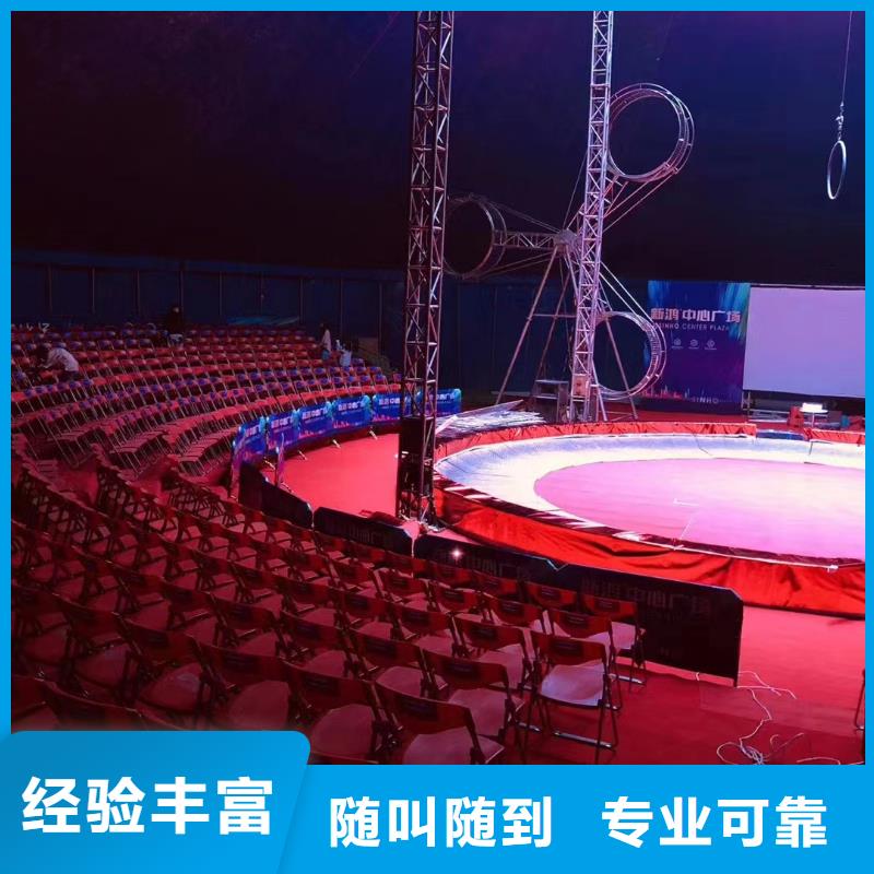 马戏团/羊驼海狮表演出租诚信经营