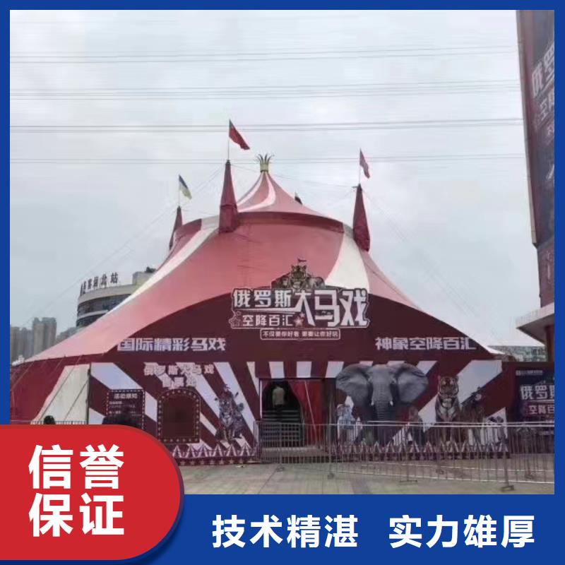 马戏团/羊驼动物表演租赁欢迎询价