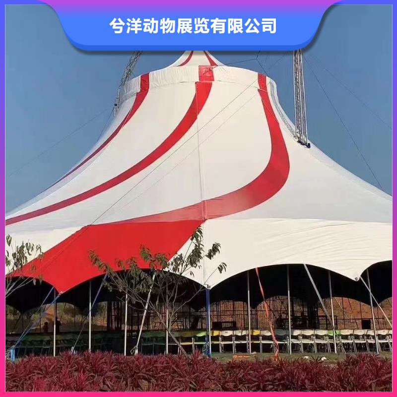 马戏团/羊驼出租企鹅口碑商家