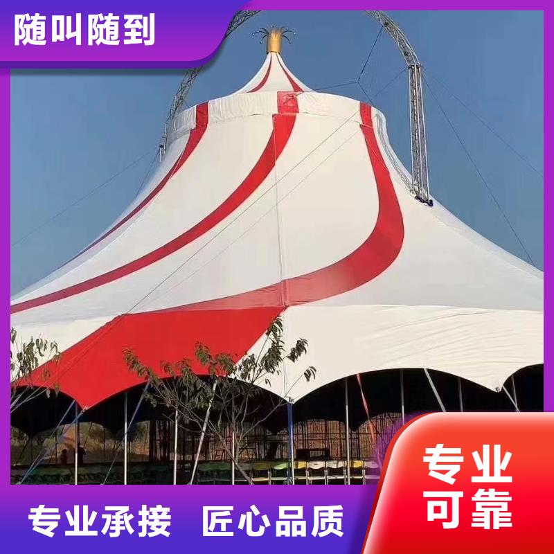 马戏团/羊驼,羊驼出租全市24小时服务