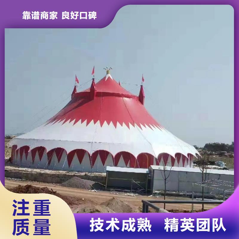 马戏团/羊驼,【企鹅表演】专业