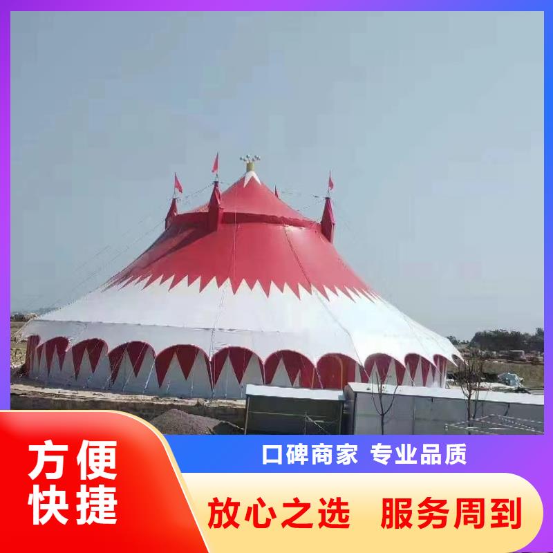 马戏团/羊驼,【企鹅表演】质优价廉