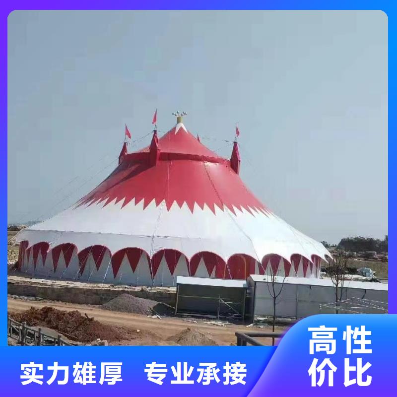 马戏团/羊驼【企鹅租赁】效果满意为止