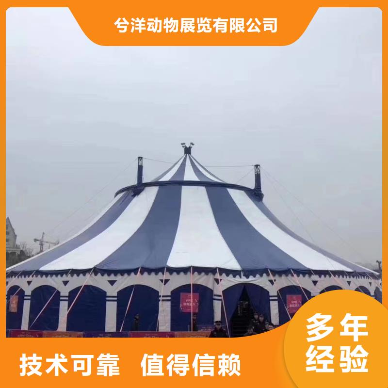 马戏团/羊驼【租赁美人鱼表演】精英团队