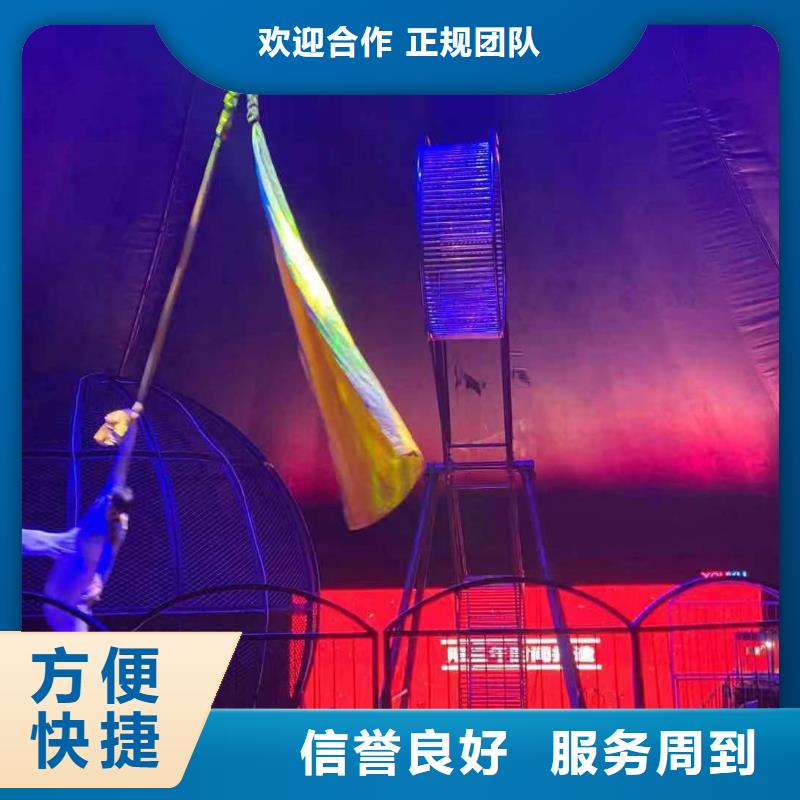 马戏团/羊驼【美人鱼表演】良好口碑