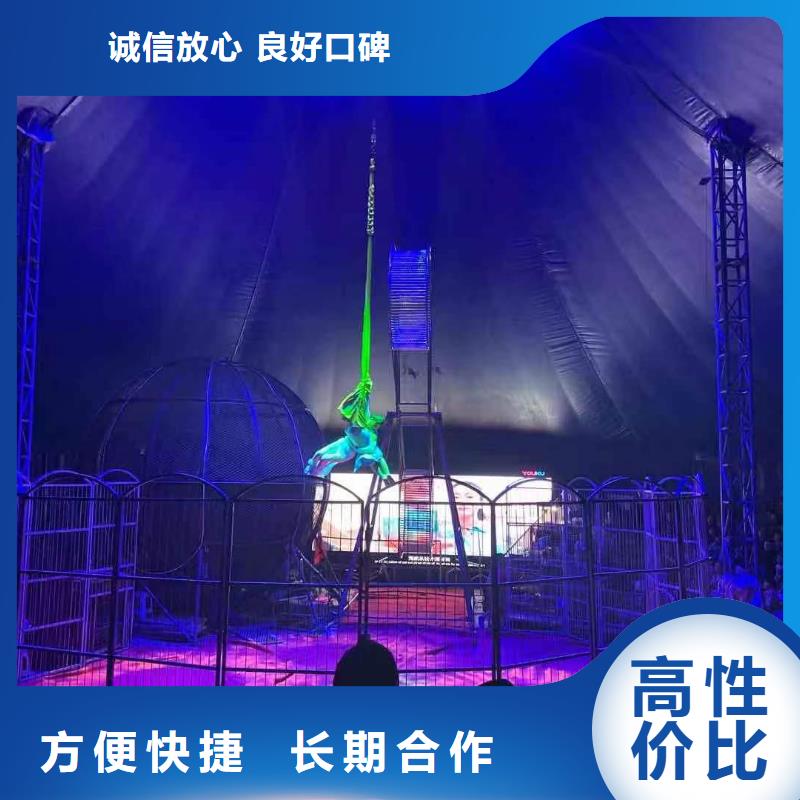 马戏团/羊驼出租企鹅口碑商家