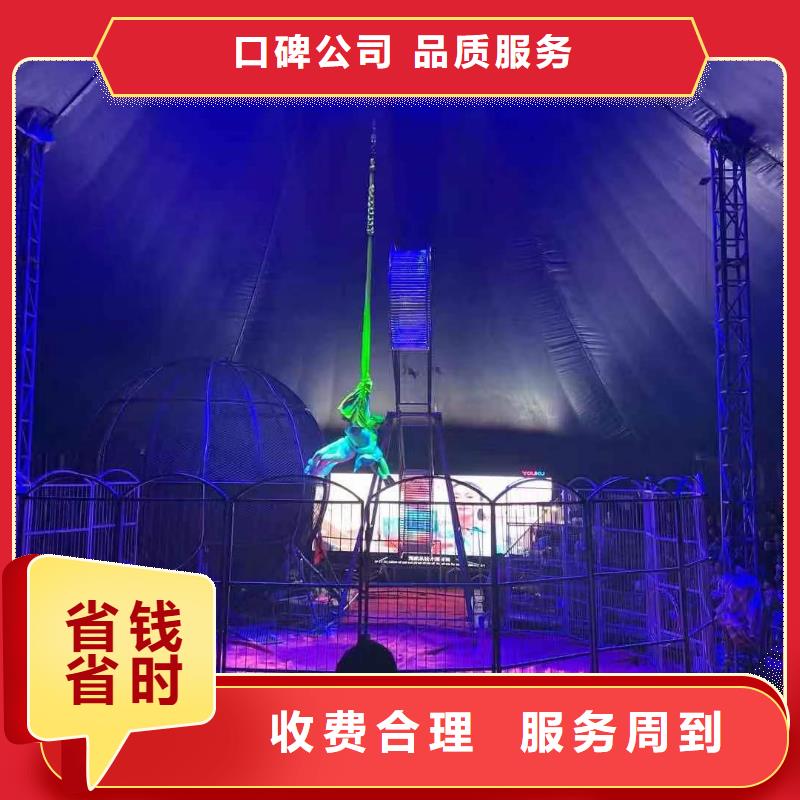 马戏团/羊驼【企鹅租赁】效果满意为止