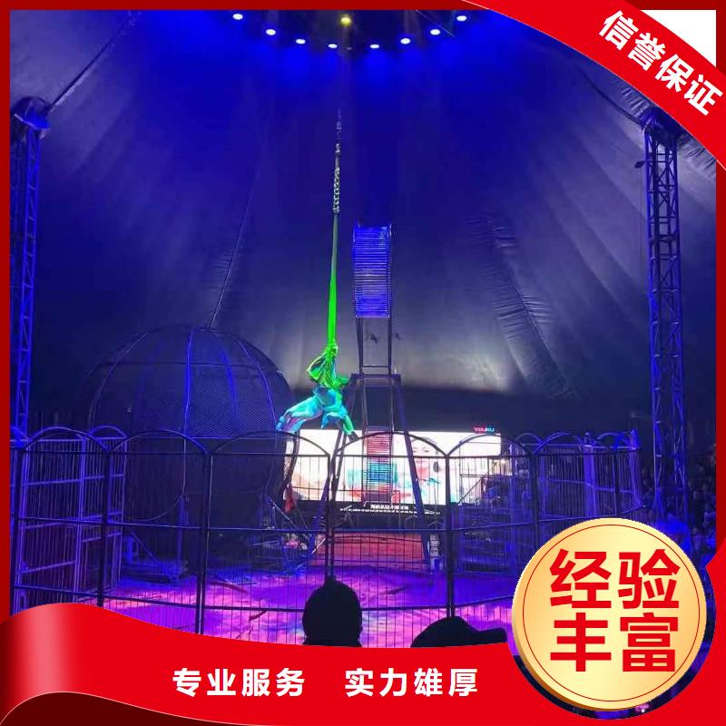 【马戏团/羊驼】租赁美人鱼表演免费咨询