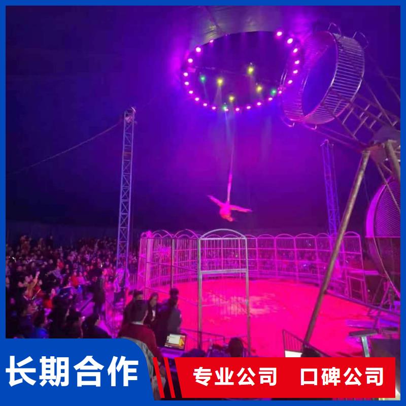 马戏团/羊驼租赁美人鱼表演遵守合同