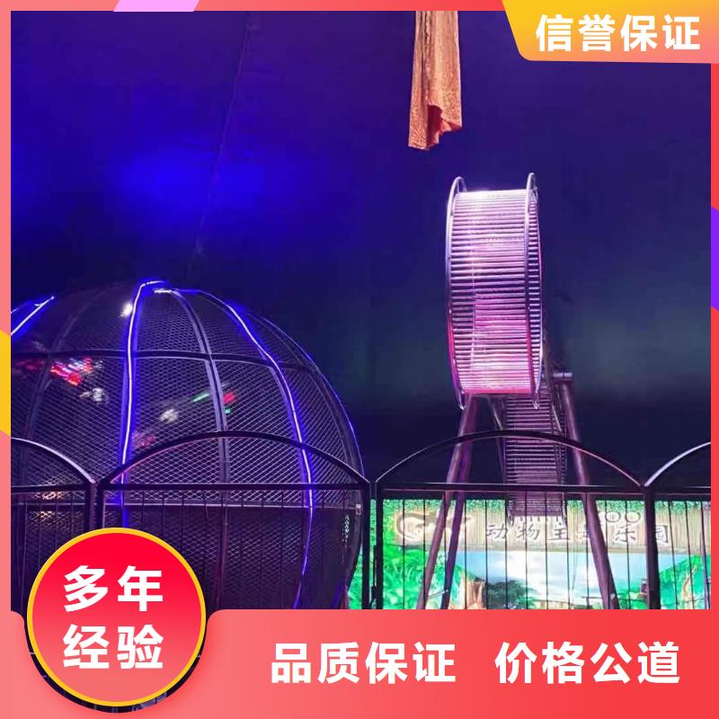 马戏团/羊驼-马戏团表演专业承接