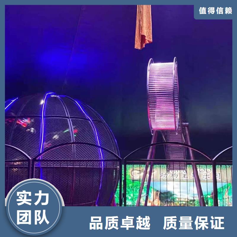 马戏团/羊驼出租企鹅口碑商家